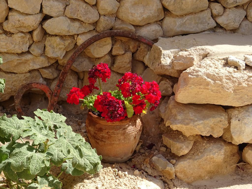 Cortijo Romero Venta de Micena Exteriér fotografie
